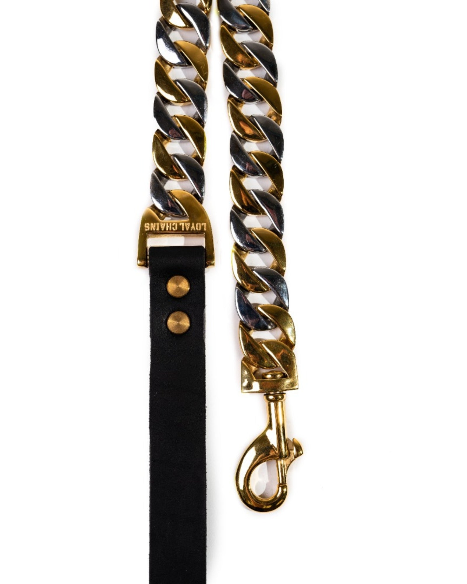 Close-up of the Cuban Bi-colour Dog Leash