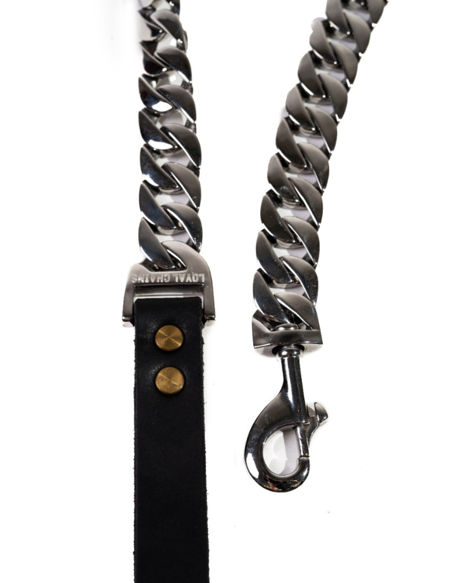 Close-up of the Cuban Silver Dog Leash