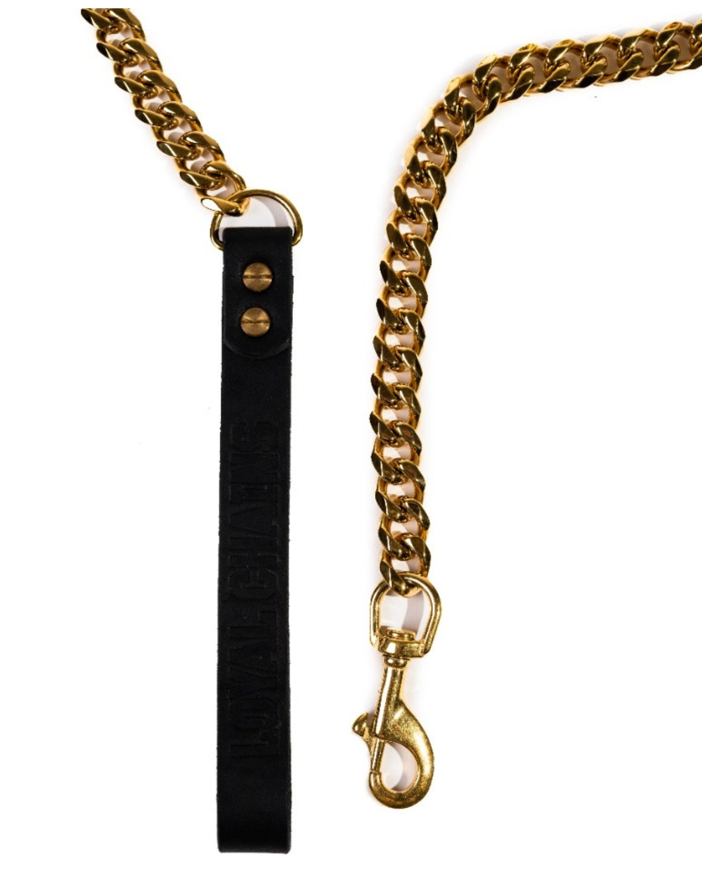 Close-up of the Loyal Gold Dog Leash