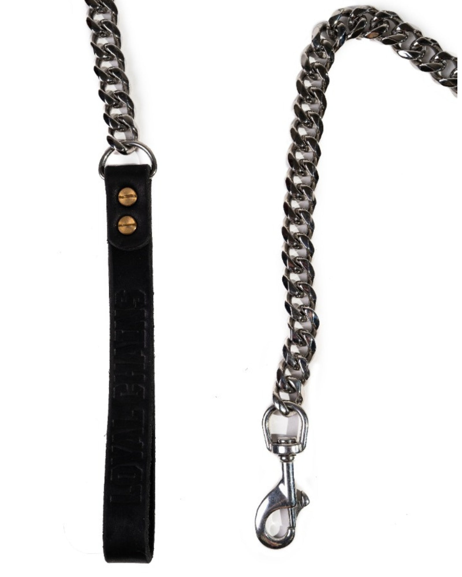 Close-up of the Loyal Silver Dog Leash