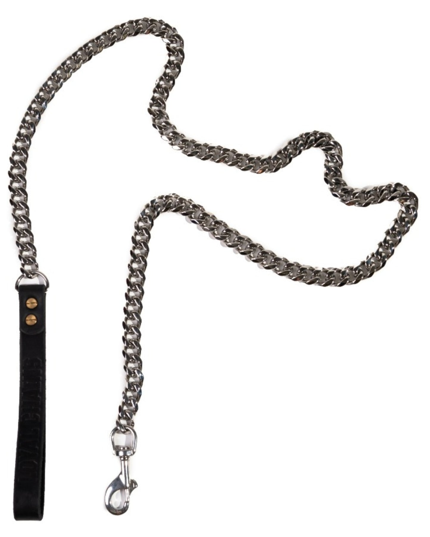 Loyal Silver Dog Leash