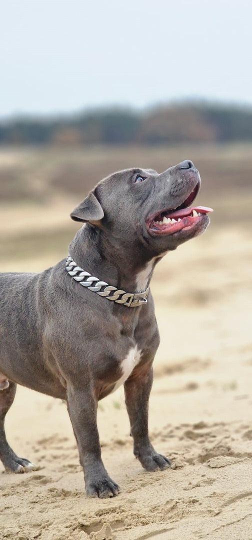 Cuban Silver - Dog Necklace